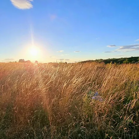 Sandy Paws - Part Of The The Bay Village With Pool, Gym And Direct Access, Pub, Restaurant, Tennis And Meadows Walks 法利