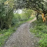 Sandy Paws - Part Of The The Bay Village With Pool, Gym And Direct Access, Pub, Restaurant, Tennis And Meadows Walks Dom wakacyjny